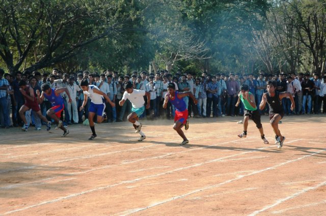 dsc_3093.jpg