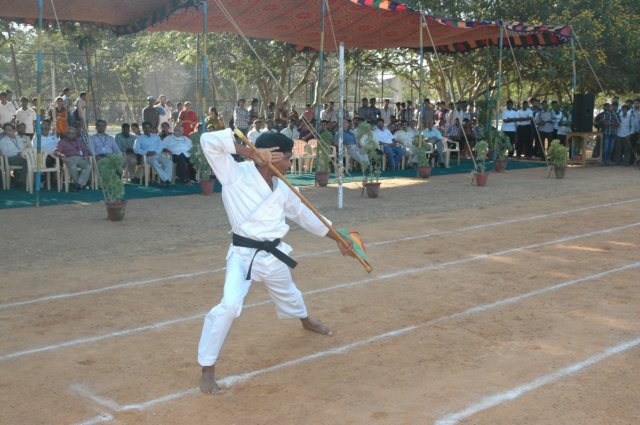 dsc_3133.jpg